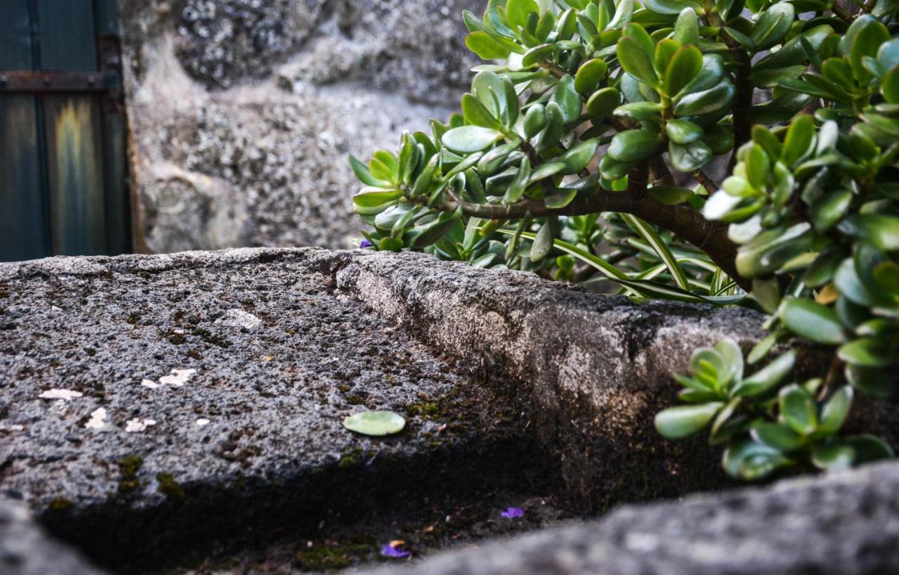 Quinta Dos Frutos Villa Santa Cruz da Graciosa Eksteriør billede