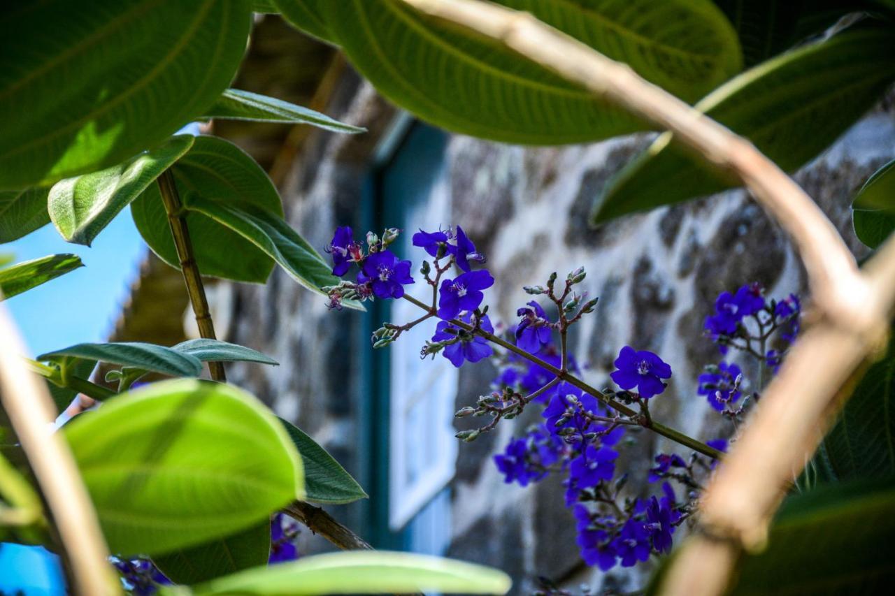 Quinta Dos Frutos Villa Santa Cruz da Graciosa Eksteriør billede