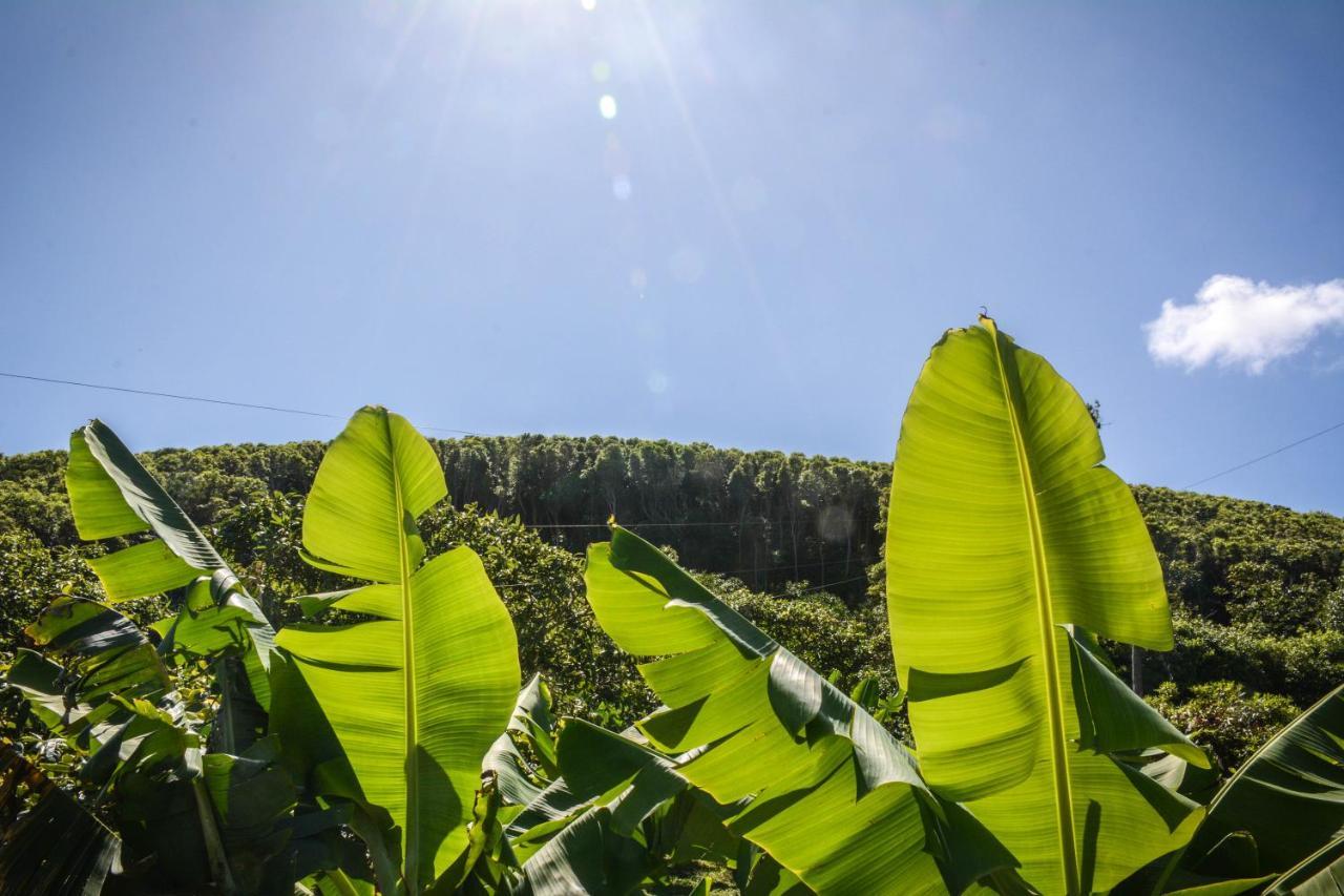 Quinta Dos Frutos Villa Santa Cruz da Graciosa Eksteriør billede
