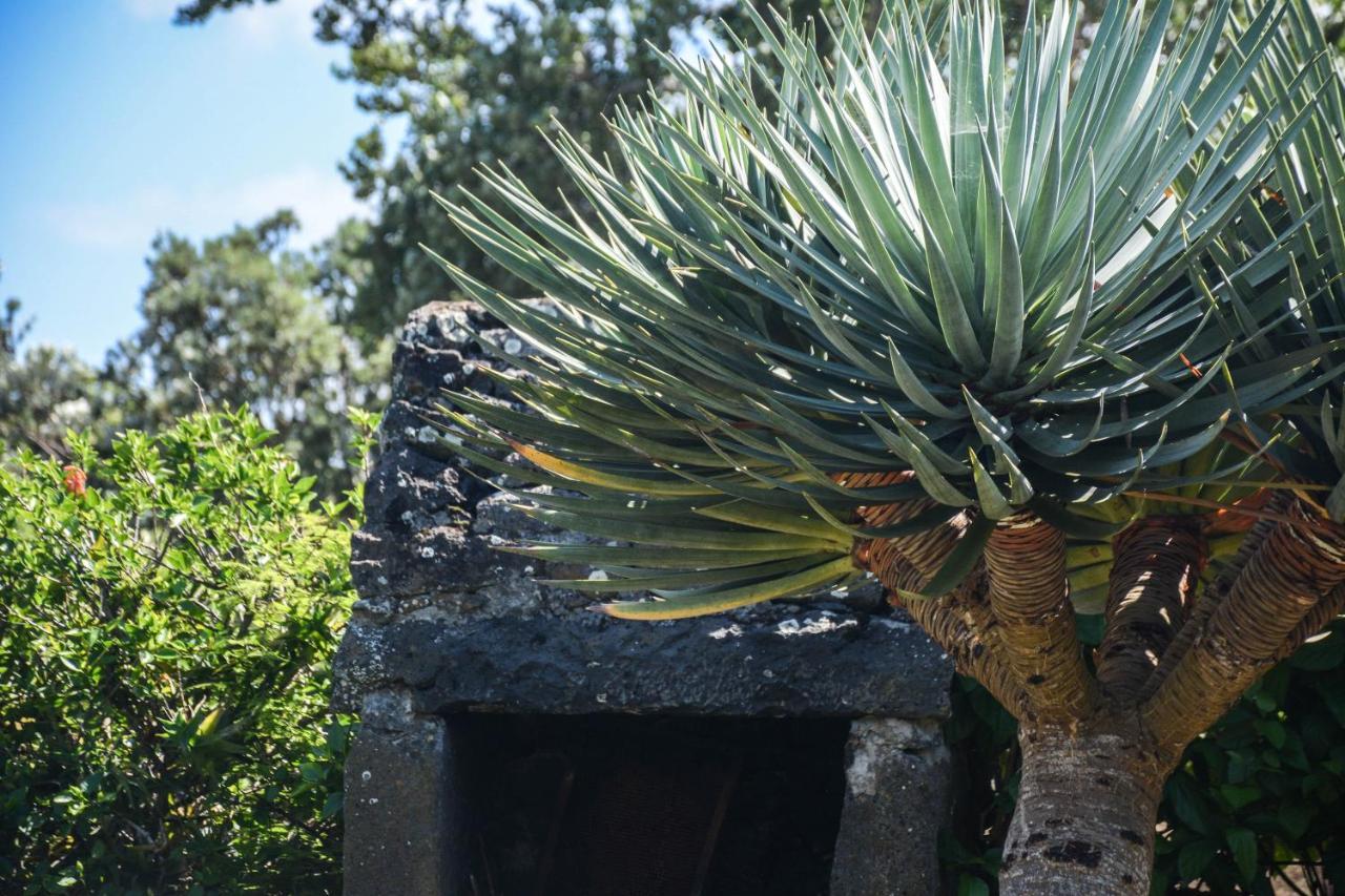 Quinta Dos Frutos Villa Santa Cruz da Graciosa Eksteriør billede