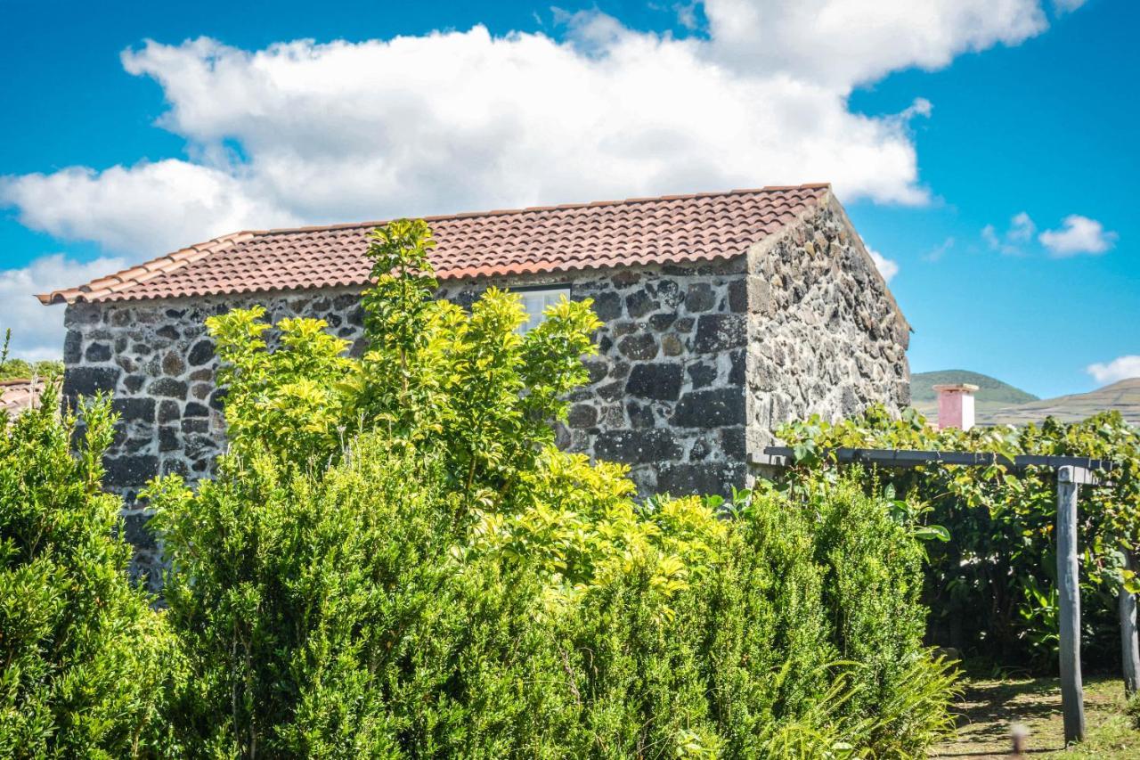 Quinta Dos Frutos Villa Santa Cruz da Graciosa Eksteriør billede